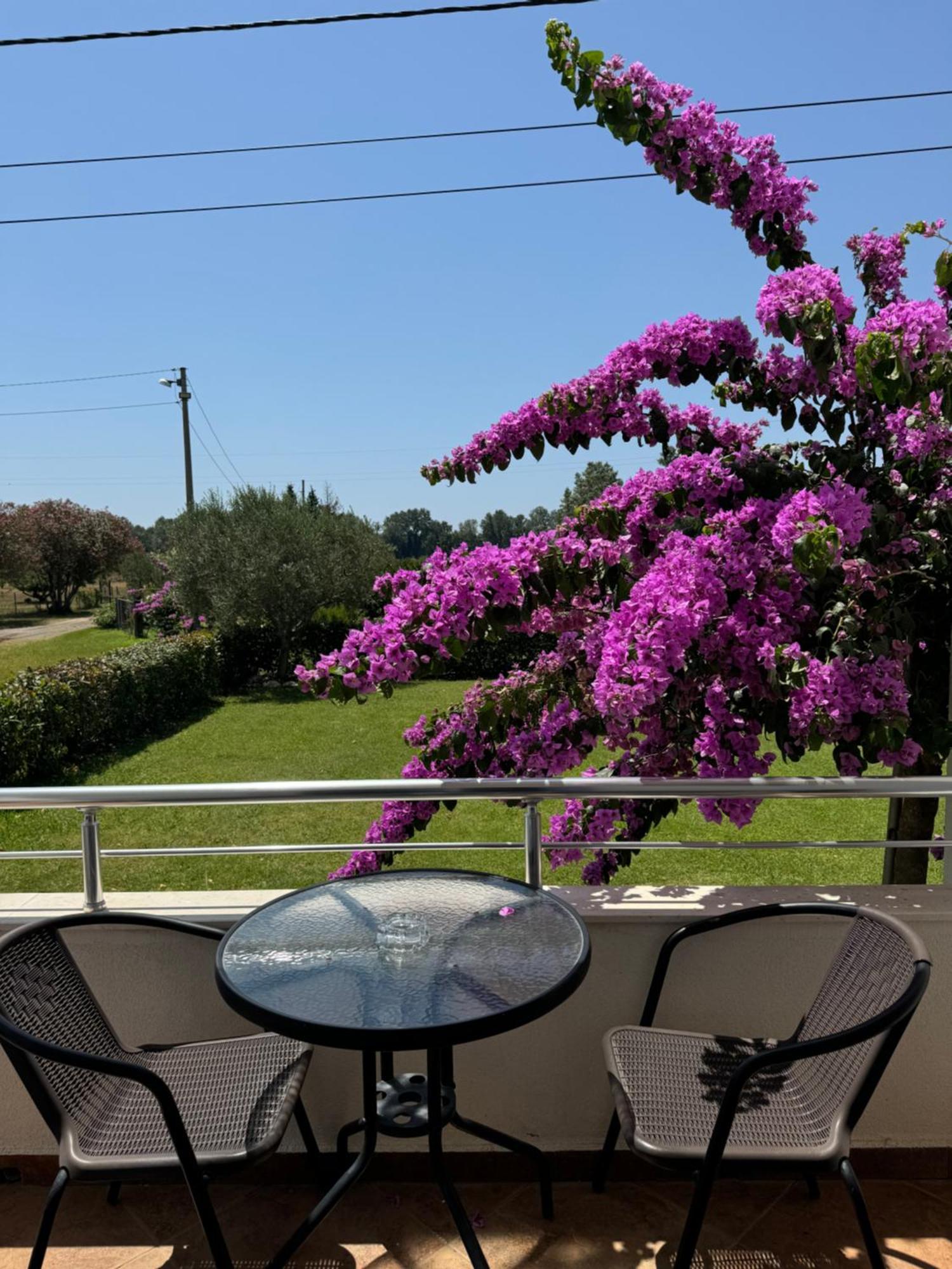 Sunrise House Apartments Улцинь Экстерьер фото