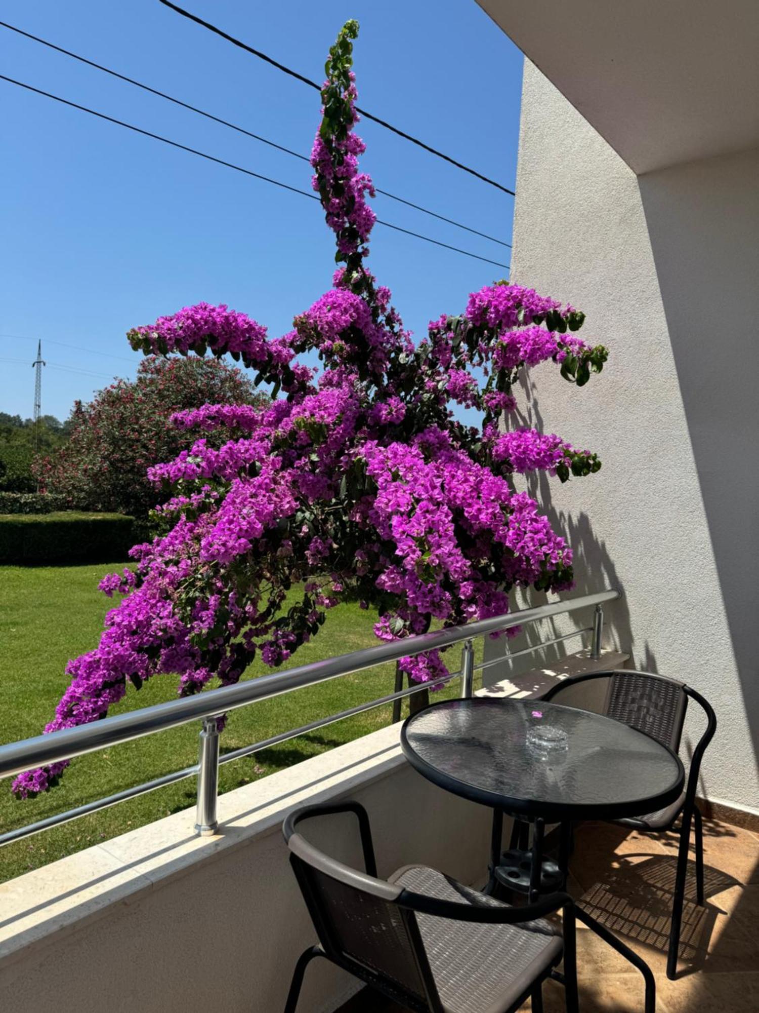 Sunrise House Apartments Улцинь Экстерьер фото